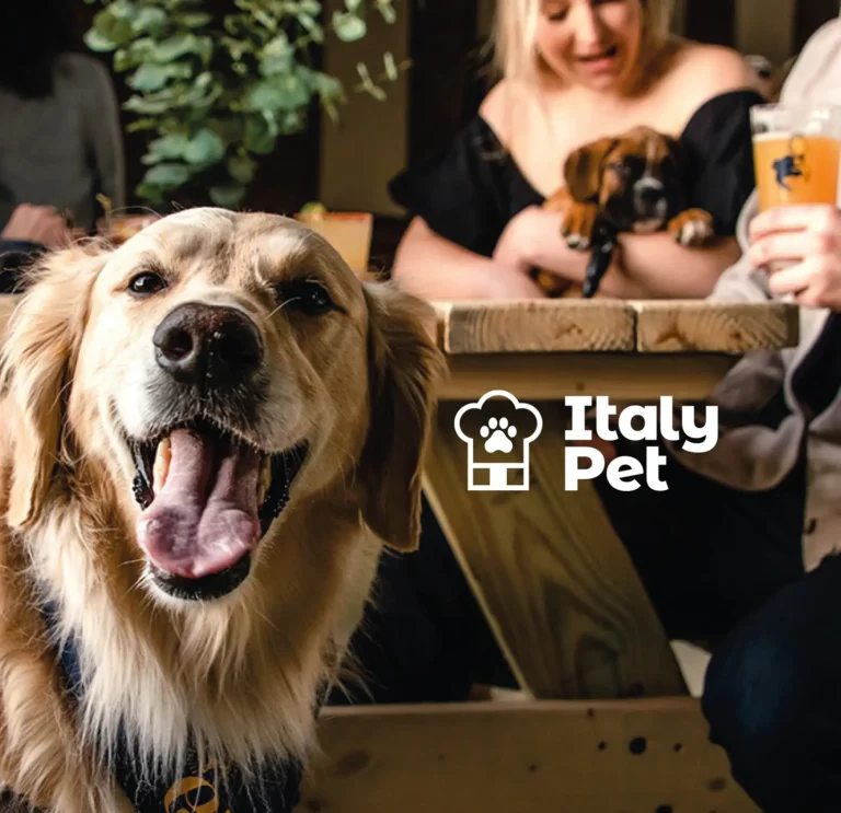Golden retriever feliz em restaurante com logotipo Italy Pet